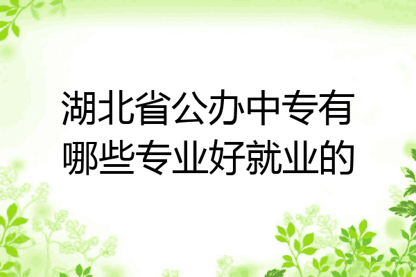 湖北省公办中专有哪些专业好就业的