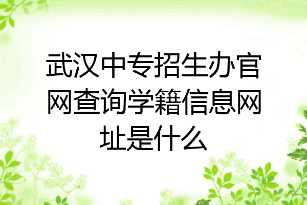 武汉中专招生办官网查询学籍信息网址是什么