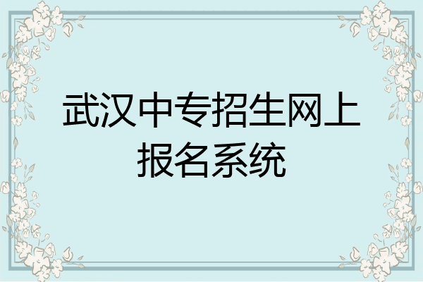 武汉中专招生网上报名系统