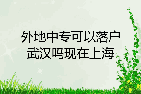 外地中专可以落户武汉吗现在上海