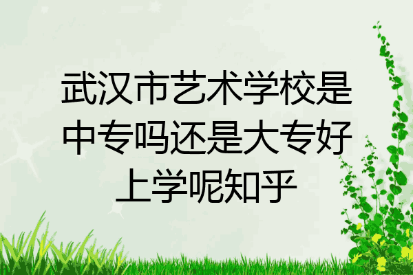 武汉市艺术学校是中专吗还是大专好上学呢知乎