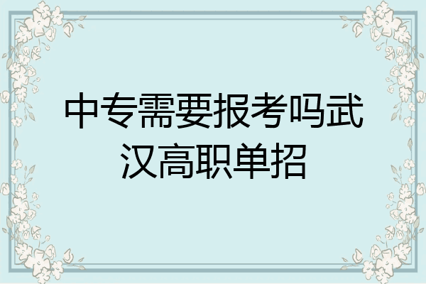 中专需要报考吗武汉高职单招