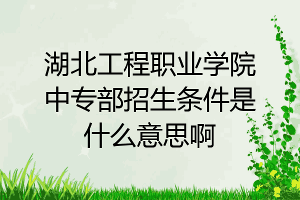 湖北工程职业学院中专部招生条件是什么意思啊
