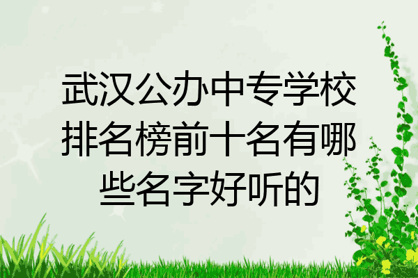 武汉公办中专学校排名榜前十名有哪些名字好听的