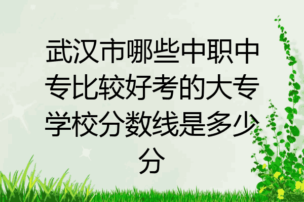 武汉市哪些中职中专比较好考的大专学校分数线是多少分