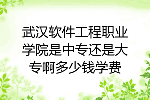 武汉软件工程职业学院是中专还是大专啊多少钱学费
