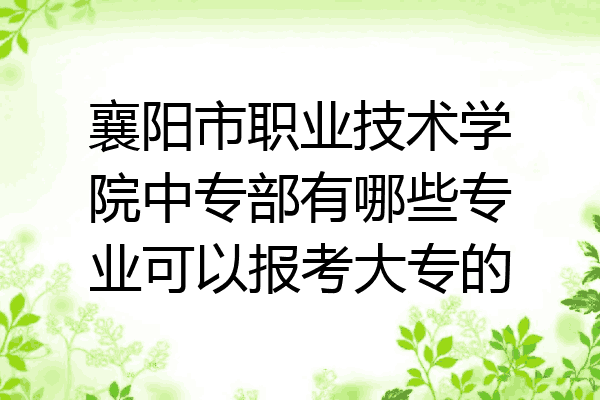 襄阳市职业技术学院中专部有哪些专业可以报考大专的