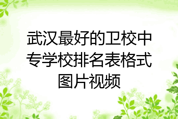 武汉最好的卫校中专学校排名表格式图片视频