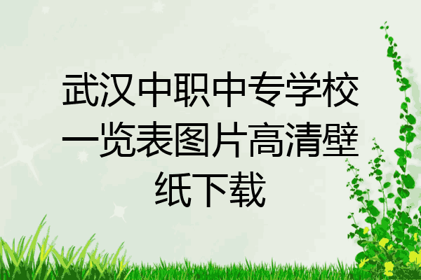 武汉中职中专学校一览表图片高清壁纸下载