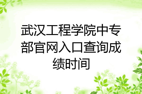 武汉工程学院中专部官网入口查询成绩时间