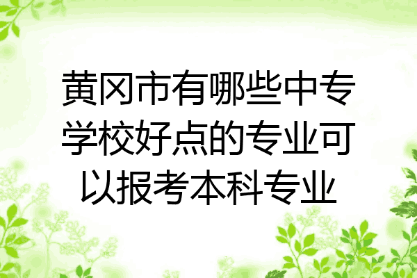 黄冈市有哪些中专学校好点的专业可以报考本科专业
