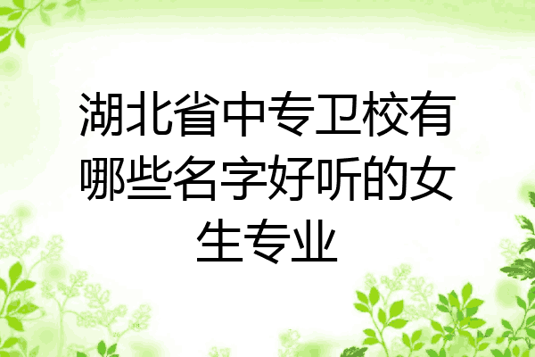 湖北省中专卫校有哪些名字好听的女生专业