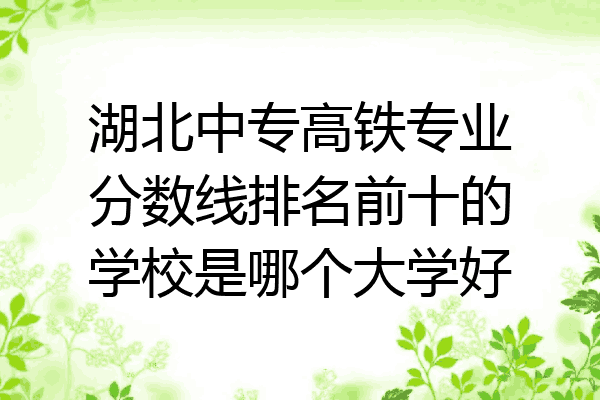 湖北中专高铁专业分数线排名前十的学校是哪个大学好