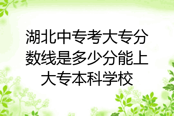 湖北中专考大专分数线是多少分能上大专本科学校