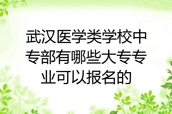 武汉医学类学校中专部有哪些大专专业可以报名的