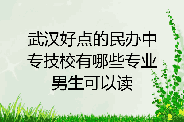 武汉好点的民办中专技校有哪些专业男生可以读