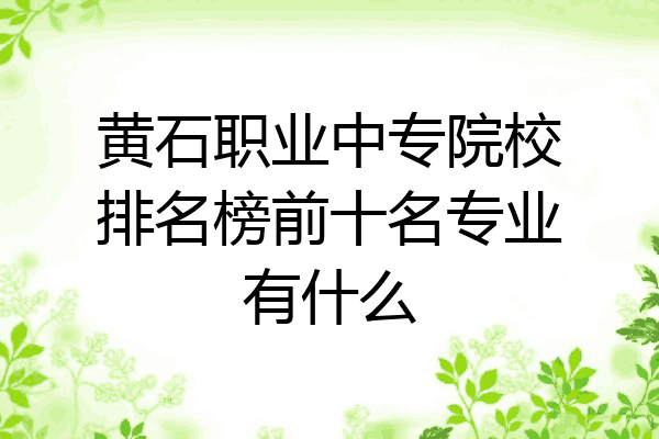 黄石职业中专院校排名榜前十名专业有什么