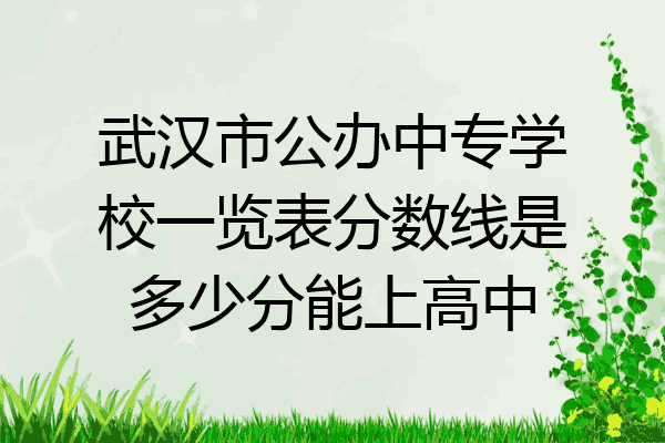 武汉市公办中专学校一览表分数线是多少分能上高中