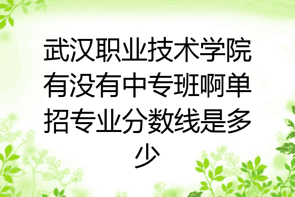 武汉职业技术学院有没有中专班啊单招专业分数线是多少