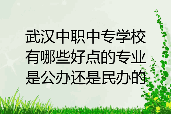 武汉中职中专学校有哪些好点的专业是公办还是民办的