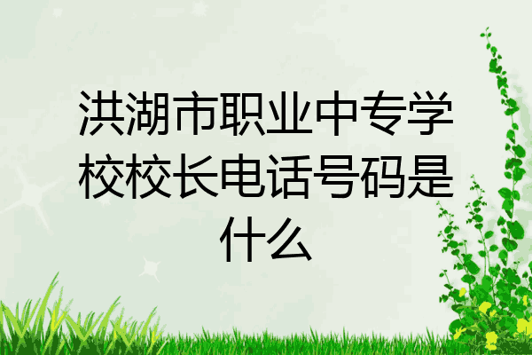 洪湖市职业中专学校校长电话号码是什么