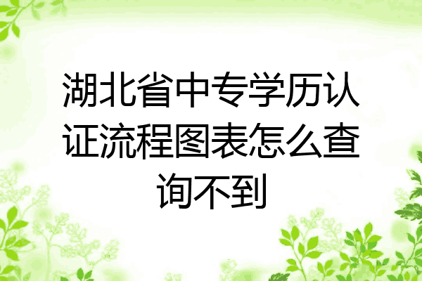 湖北省中专学历认证流程图表怎么查询不到