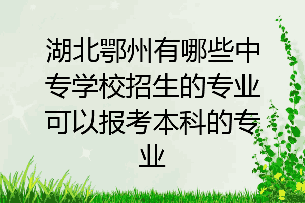 湖北鄂州有哪些中专学校招生的专业可以报考本科的专业