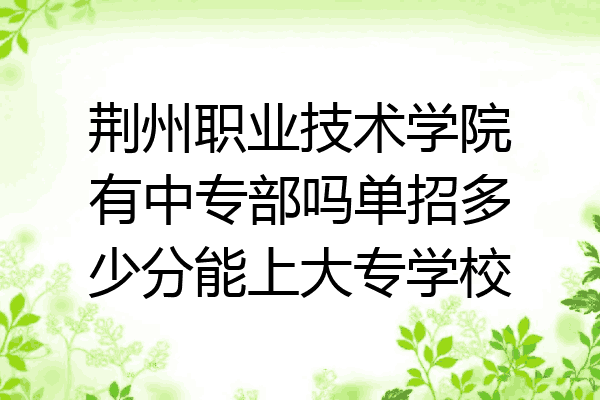 荆州职业技术学院有中专部吗单招多少分能上大专学校