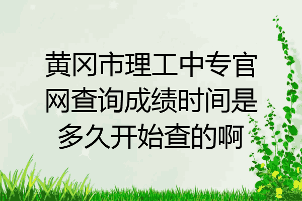 黄冈市理工中专官网查询成绩时间是多久开始查的啊