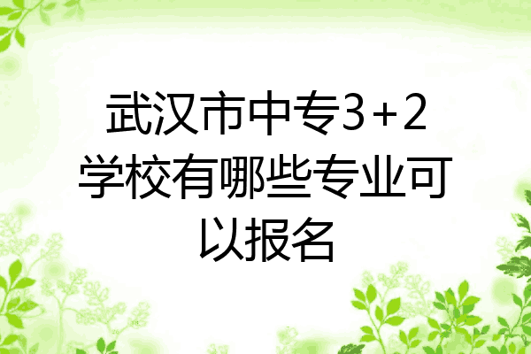 武汉市中专3+2学校有哪些专业可以报名