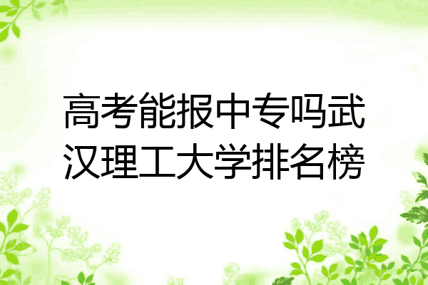 高考能报中专吗武汉理工大学排名榜