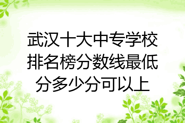 武汉十大中专学校排名榜分数线最低分多少分可以上