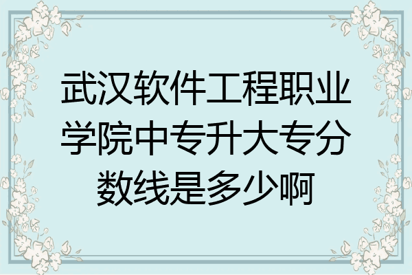 武汉软件工程职业学院中专升大专分数线是多少啊