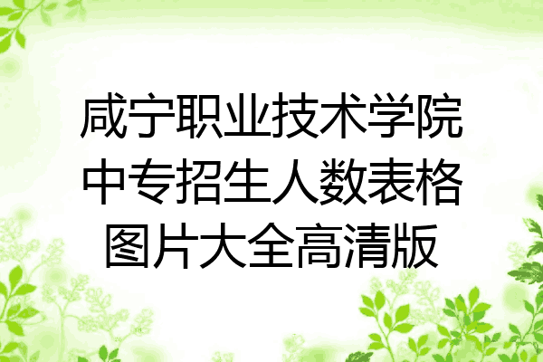 咸宁职业技术学院中专招生人数表格图片大全高清版