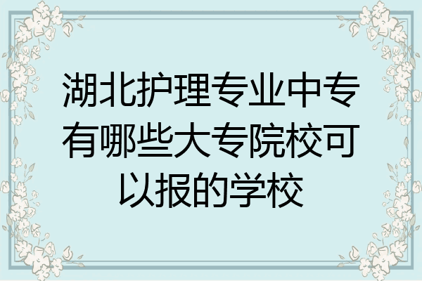 湖北护理专业中专有哪些大专院校可以报的学校