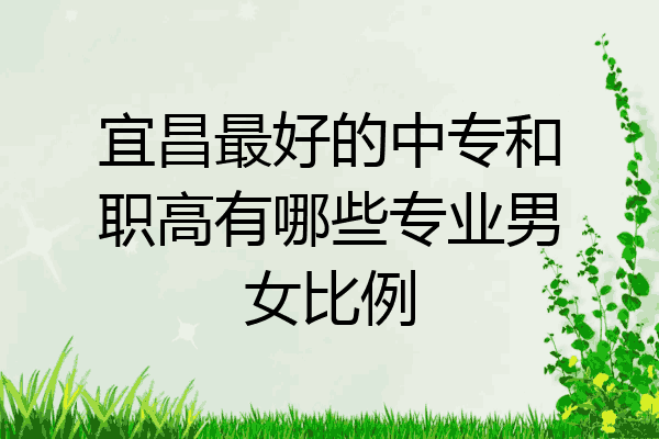 宜昌最好的中专和职高有哪些专业男女比例