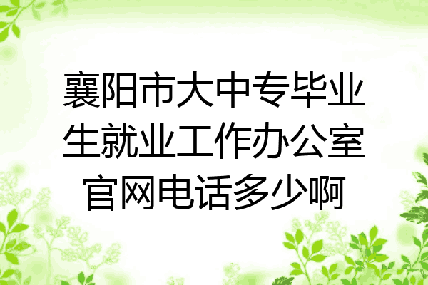 襄阳市大中专毕业生就业工作办公室官网电话多少啊
