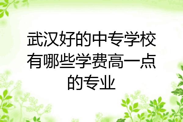 武汉好的中专学校有哪些学费高一点的专业