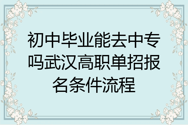 初中毕业能去中专吗武汉高职单招报名条件流程