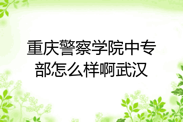 重庆警察学院中专部怎么样啊武汉