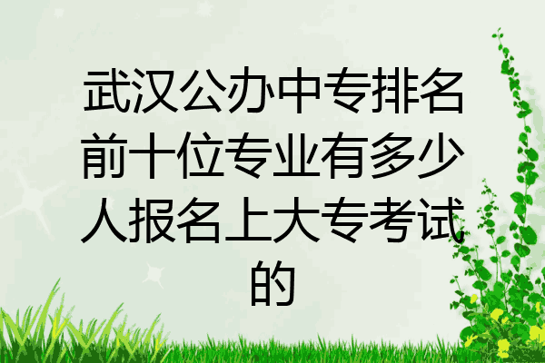 武汉公办中专排名前十位专业有多少人报名上大专考试的