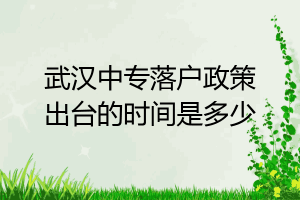 武汉中专落户政策出台的时间是多少