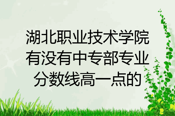 湖北职业技术学院有没有中专部专业分数线高一点的