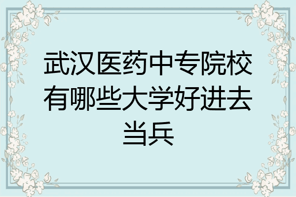 武汉医药中专院校有哪些大学好进去当兵