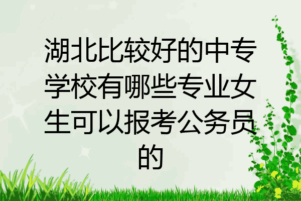 湖北比较好的中专学校有哪些专业女生可以报考公务员的