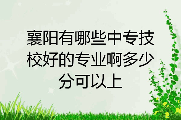襄阳有哪些中专技校好的专业啊多少分可以上