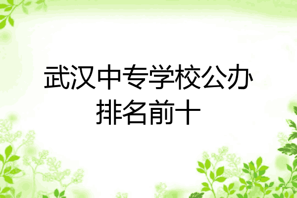 武汉中专学校公办排名前十