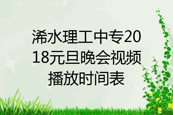 浠水理工中专2018元旦晚会视频播放时间表