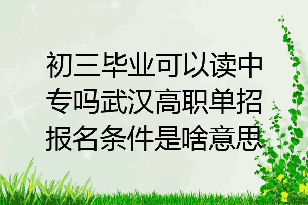 初三毕业可以读中专吗武汉高职单招报名条件是啥意思