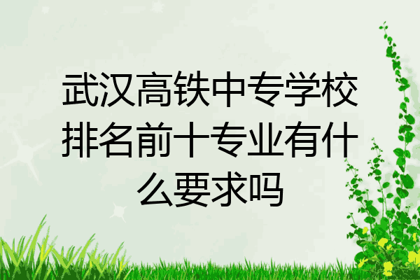 武汉高铁中专学校排名前十专业有什么要求吗